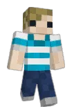 _Elegant Minecraft avatar full body
