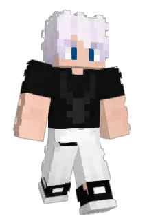 _Frion Minecraft avatar full body