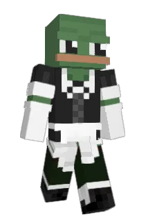 _Gross Minecraft avatar full body