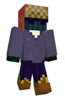 _H1420_ Minecraft avatar full body