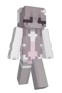 _HBX Minecraft avatar full body
