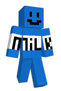 _Hauke Minecraft avatar full body