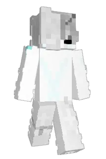 _Ho4wggTu Minecraft avatar full body