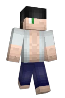 _Hussar_ Minecraft avatar full body