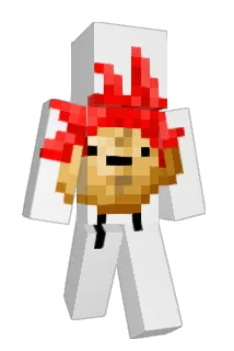_Indico Minecraft avatar full body