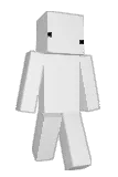 _Intr Minecraft avatar full body