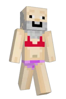 _JARY_ Minecraft avatar full body