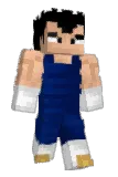 _Jake_is Minecraft avatar full body