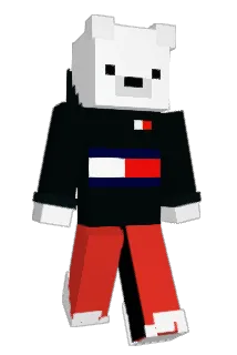 _L62_ Minecraft avatar full body