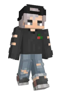 _Leqit_Combo Minecraft avatar full body