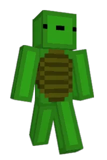 _Liton Minecraft avatar full body