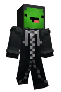 _MEBD_ Minecraft avatar full body