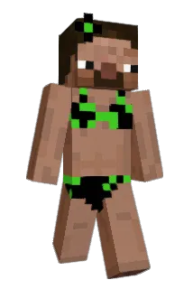 _MNST Minecraft avatar full body