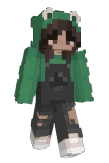 _Mian Minecraft avatar full body