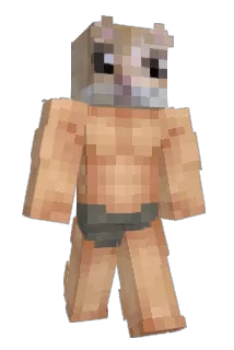 _Migles Minecraft avatar full body