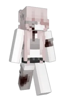 _MlNECRAFT Minecraft avatar full body
