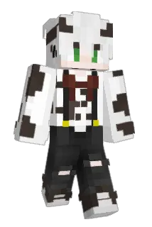 _Moii Minecraft avatar full body