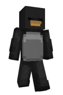 _NYT Minecraft avatar full body