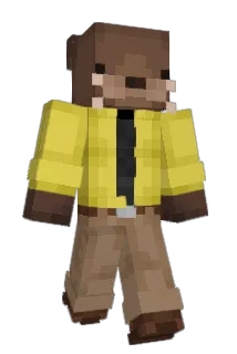 _Niis Minecraft avatar full body