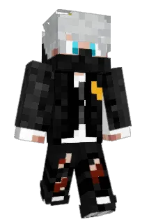 _Ninja_Player_ Minecraft avatar full body