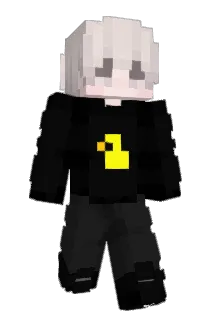 _NoSkILL1337 Minecraft avatar full body