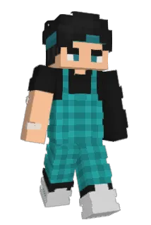 _Nof Minecraft avatar full body