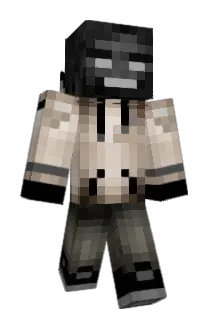 _Overwolf11_ Minecraft avatar full body