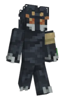 _P1gGuy254_ Minecraft avatar full body