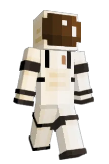 _P3rcival Minecraft avatar full body