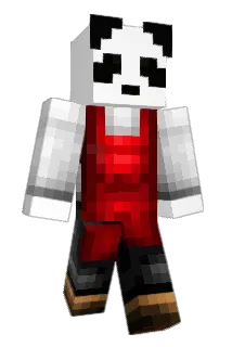 _PandaBro Minecraft avatar full body