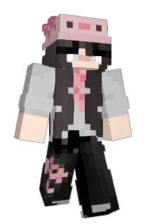 _Papaya4 Minecraft avatar full body