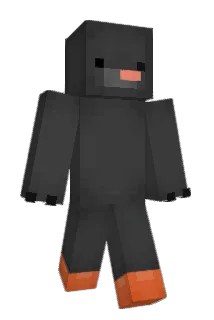 _Pattmand_ Minecraft avatar full body