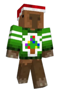 _PoLak123_ Minecraft avatar full body