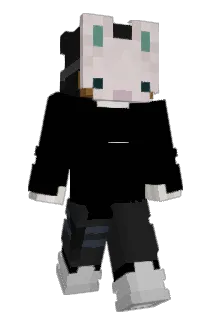 _PoLo Minecraft avatar full body