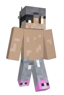 _Porcupine_ Minecraft avatar full body