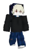 _Quinzo Minecraft avatar full body