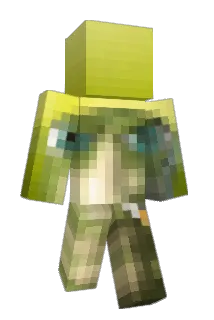 _RMI_ Minecraft avatar full body