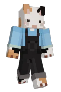 _Rice_bowl_ Minecraft avatar full body