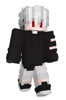 _Risinq_ Minecraft avatar full body