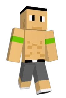 _S4L1_ Minecraft avatar full body