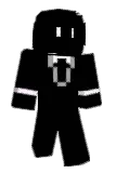 _SEIDN_ Minecraft avatar full body