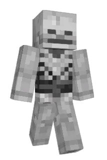 _Selo06 Minecraft avatar full body