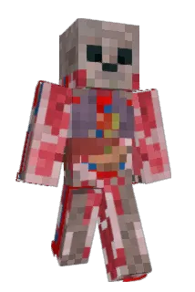 _Simbaa Minecraft avatar full body