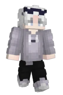 _Slvn_ Minecraft avatar full body