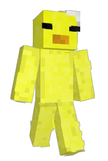 Minecraft-Avatar von _Soluss_: ganzer Körper