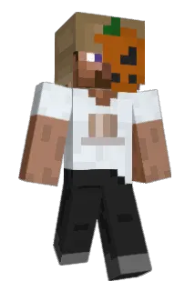 _Sub1_ Minecraft avatar full body