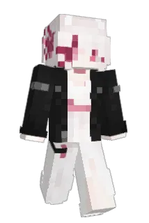 _Swidex Minecraft avatar full body