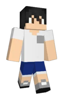 _Swix_ Minecraft avatar full body