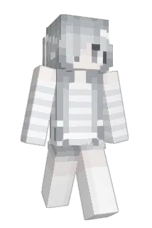 _T3 Minecraft avatar full body