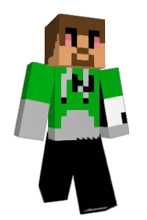 _Taco_Tuesday_ Minecraft avatar full body